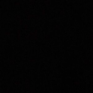 Meet your Posher, Carmen